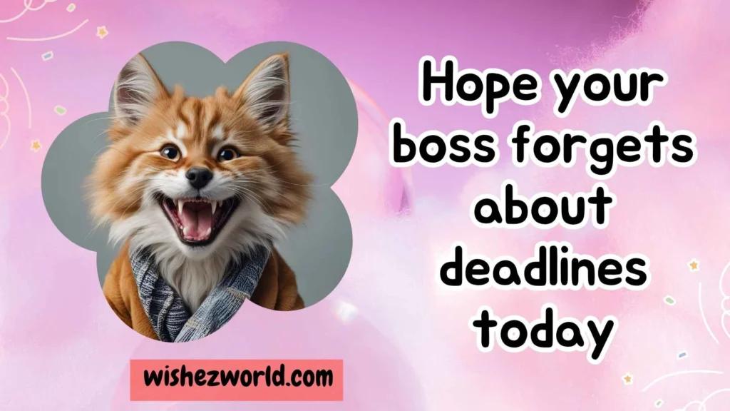 Funny & Witty Wishes for a Smile