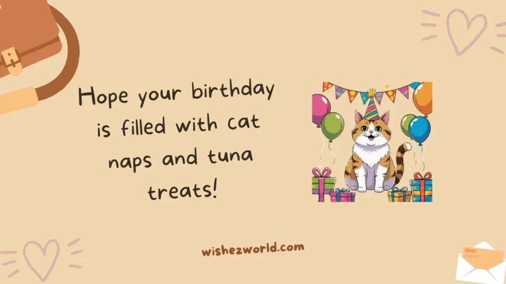 Funny Birthday Wishes for Cat