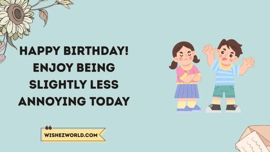 Funny Birthday Wishes Sister From Brother