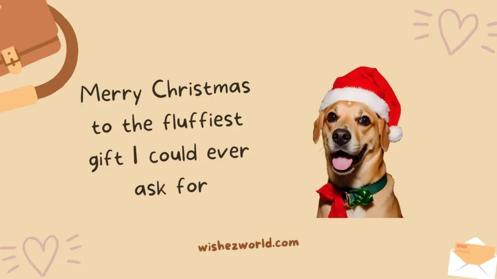 Merry Christmas Wishes for Dogs
