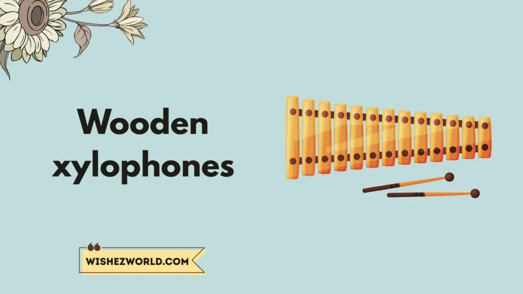  Musical Gifts That Don’t Need Power