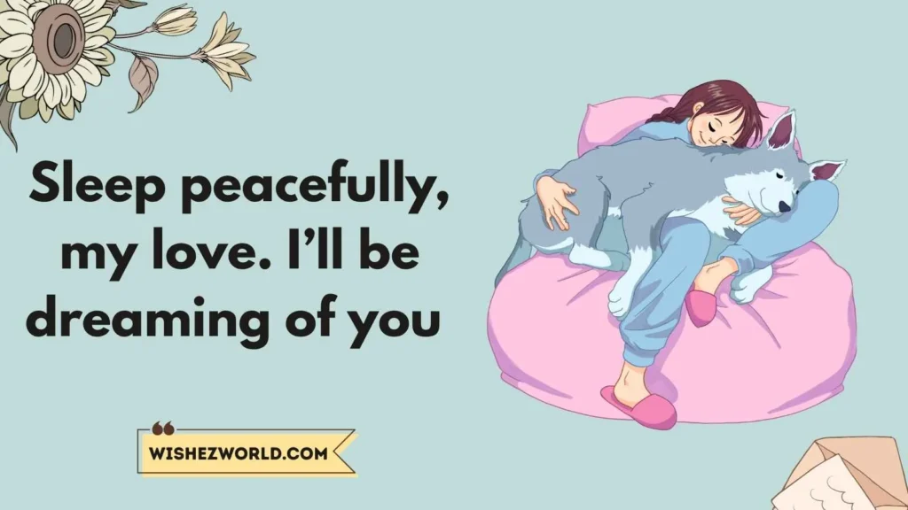 Sweet Good Night Wishes for Lovers
