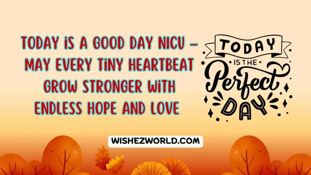 Today is a Good Day NICU